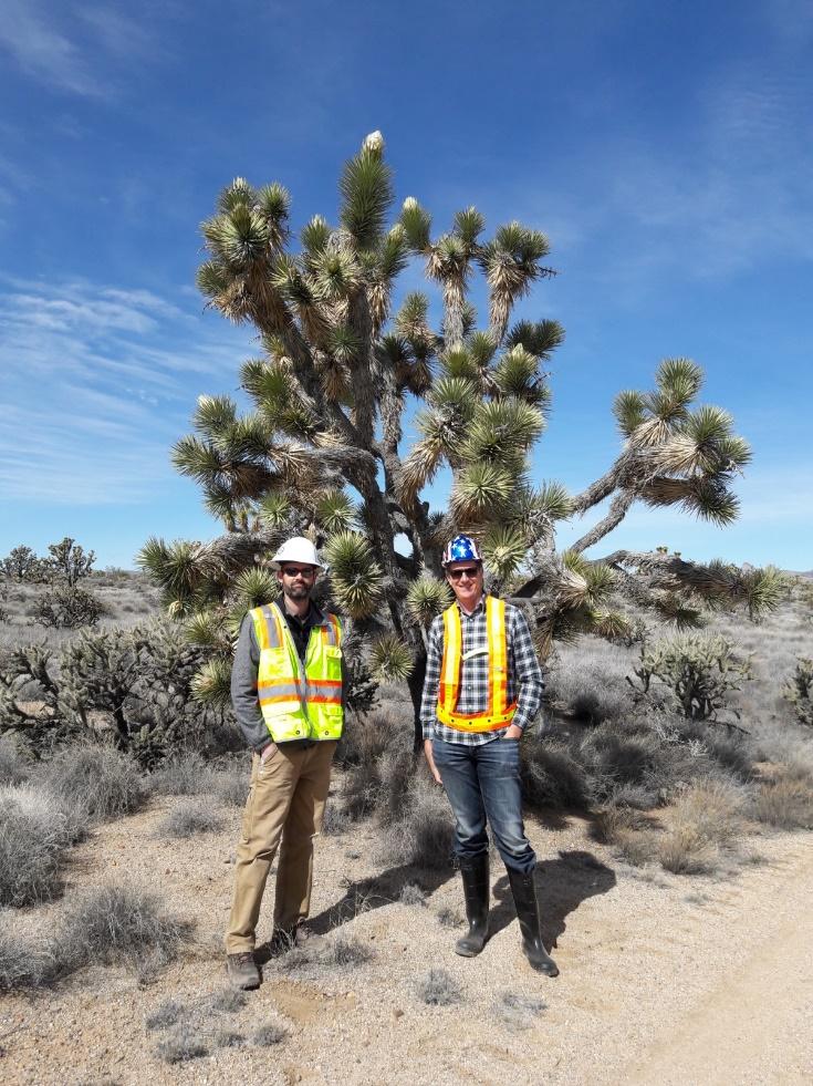 A couple of men wearing safety vests standing next to a tree